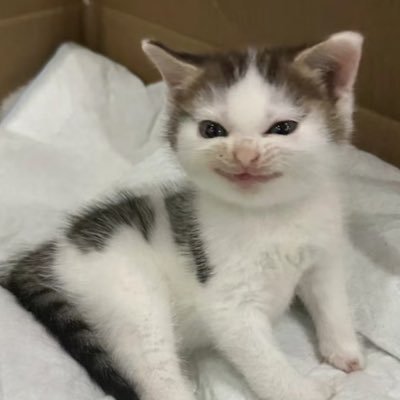 K_K's profile picture
