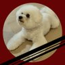 Profilbild von yuki