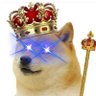 chris's profile picture