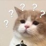 Profilbild von 虾仁猪心