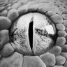 Фото профиля snake speak ∞