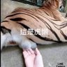 珉 profil fotoğrafı