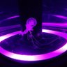 Фото профиля ブリ男