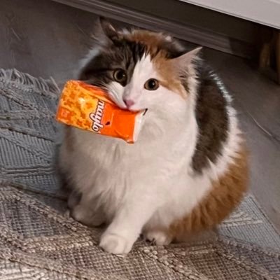 waffle's profile picture