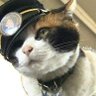 Profilbild von かずやん