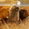 غلام حــــــــــیدر profil fotoğrafı