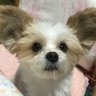 Profilbild von なぁな