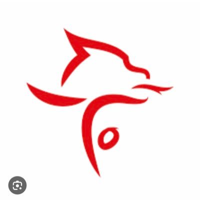 WelshGymnastics's profile picture