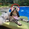Profilbild von MoCrackers