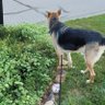 princess rachel's profile picture
