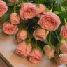 Фото профиля 🌸💙