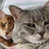 findercat profil fotoğrafı