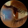 Tooooot's profile picture