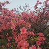 富贵 profil fotoğrafı