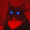 Not a cat's profile picture