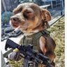 Da Under Dog's profile picture