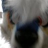 Billy Thunderbolt profil fotoğrafı