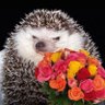 Profilbild von SERGIO
