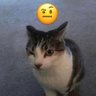 ArtOn's profile picture