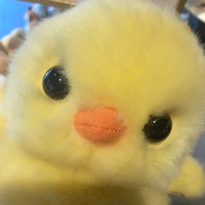 쏘쏘's profile picture