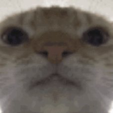 john.weth's profile picture