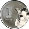 Dibyalok's profile picture