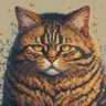 Zz.Cat profil fotoğrafı