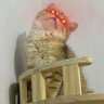 Profilbild von 吉霸猫