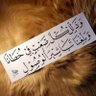 💜البنفسج الحجازي💜 profil fotoğrafı