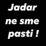 Vladimir Rac's profile picture