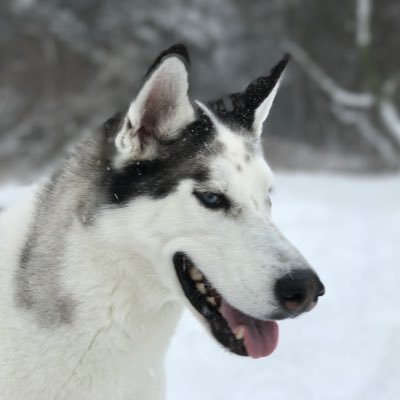 Hercy Chang's profile picture