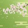 サクラ's profile picture