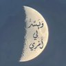 Фото профиля حامد ربه