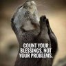 Obance 4 Christ 🇳🇬🇮🇱 profil fotoğrafı