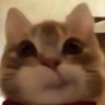 d ❥'s profile picture