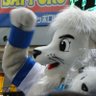 🦁マーキ🦁's profile picture