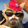 Lawrence of Canadia profil fotoğrafı