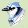 YoungBlueJay: Prince of MCYT's profile picture