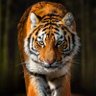gaojun126777 profil fotoğrafı
