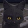 Coppe the Cat - Old JRPG guy profil fotoğrafı