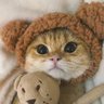 Фото профиля Foxy Tilkioğlu