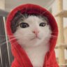 K a d u profil fotoğrafı