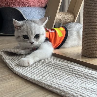 นวดโคราช นิรา's profile picture