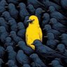 Fairhope's profile picture