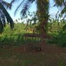 Profilbild von yudha_PN
