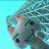 いつきんぐ's profile picture