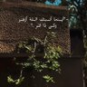 🌱غصن🌱 profil fotoğrafı