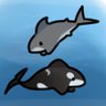 sharkandorca's profile picture