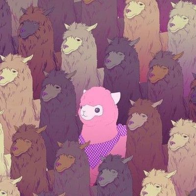 ShemaleShare's profile picture