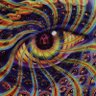 Wifo24's profile picture